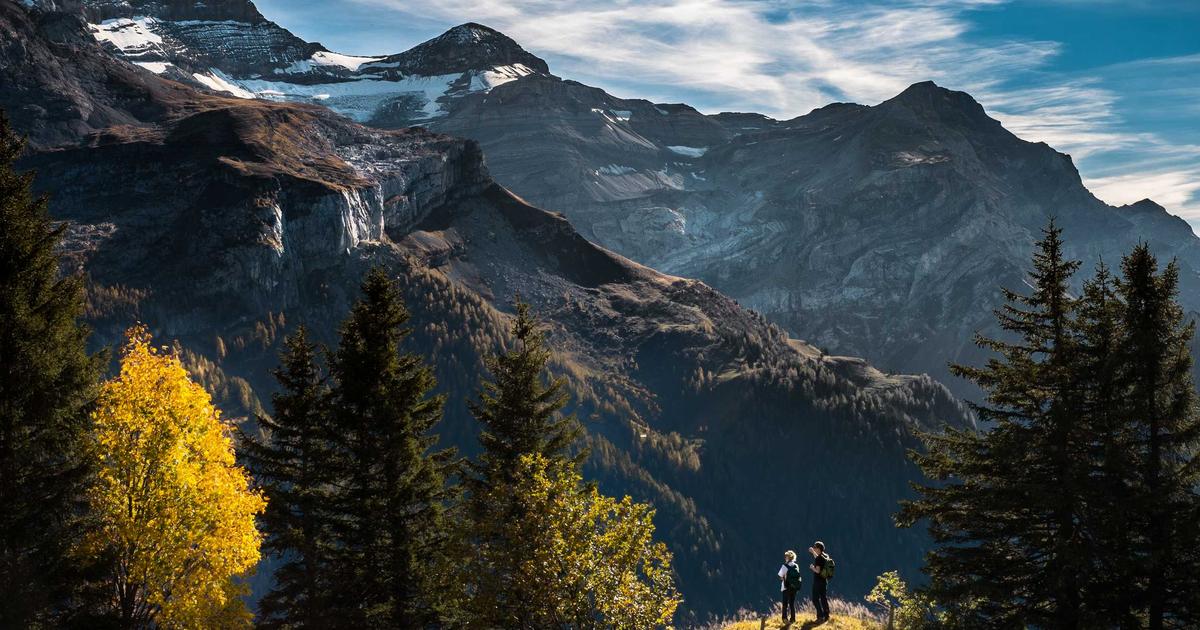 Beyond the Delivery: How King County Cannabis Fans Can Book Unique Local Tours and Adventures