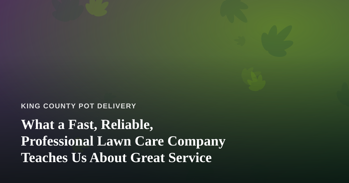 What a Fast, Reliable, Professional Lawn Care Company Teaches Us About Great Service